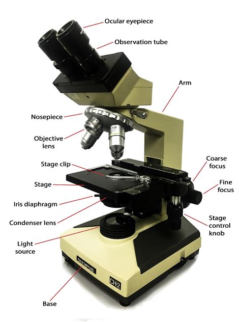 Microscope and Microscopy .